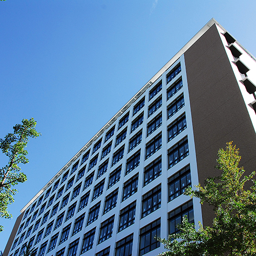 近畿 大学 附属 新宮 高等 学校