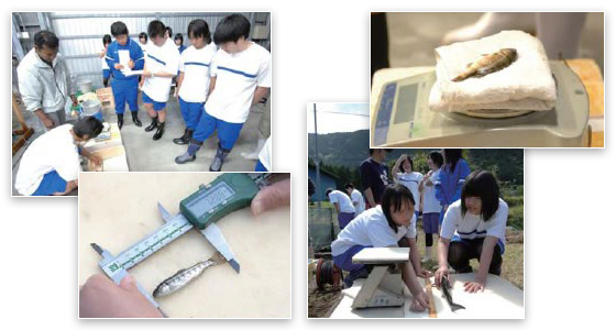 実習の様子